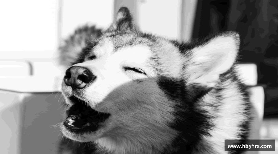 坚韧不拔，夺取荣耀！